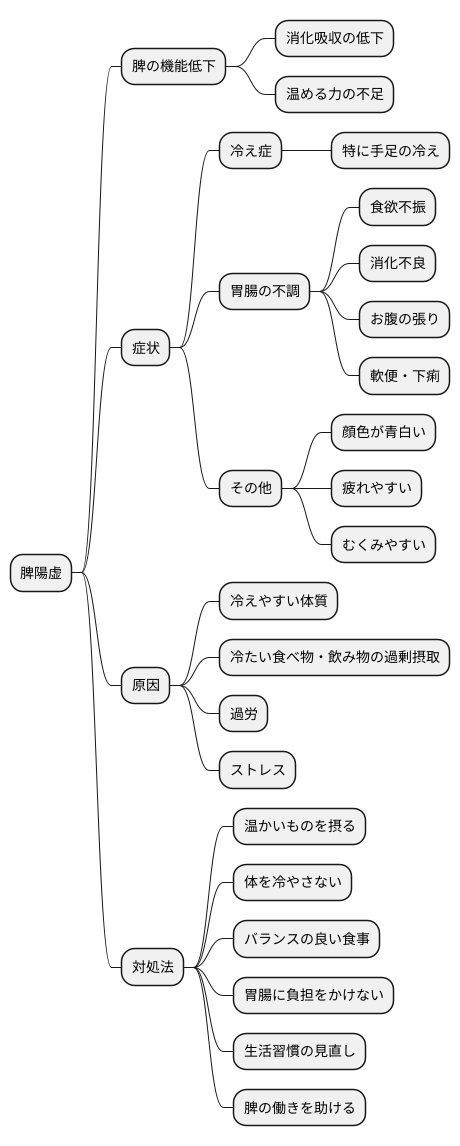 脾陽虚とは
