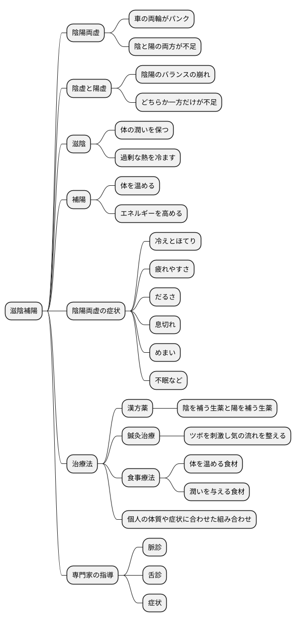 滋陰補陽とは何か