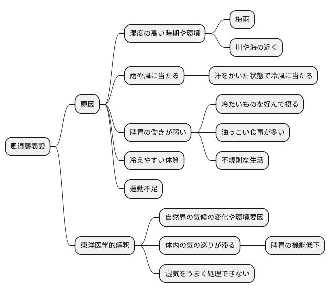 原因とメカニズム