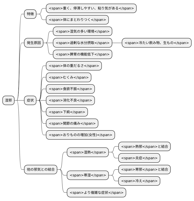 湿邪とは何か