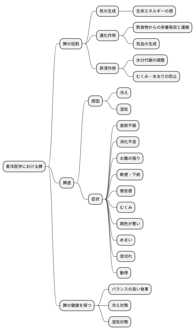 脾の役割