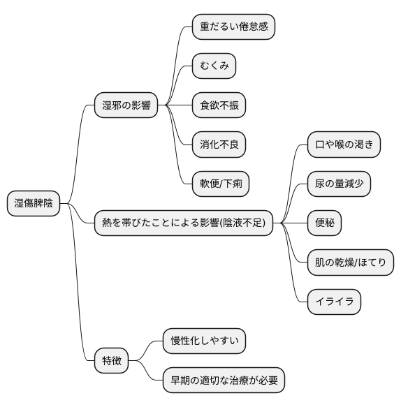 湿傷脾陰の症状