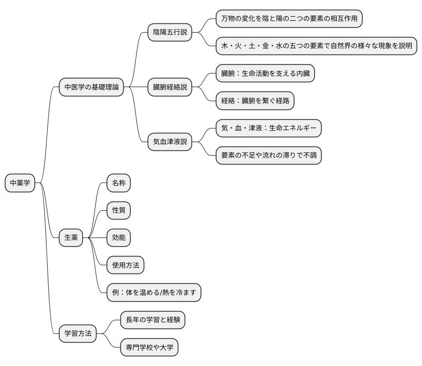 中薬学の学び