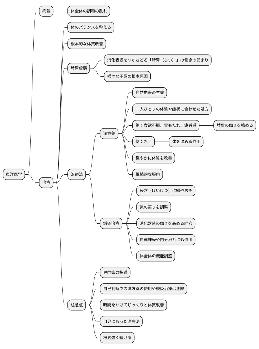 東洋医学的治療