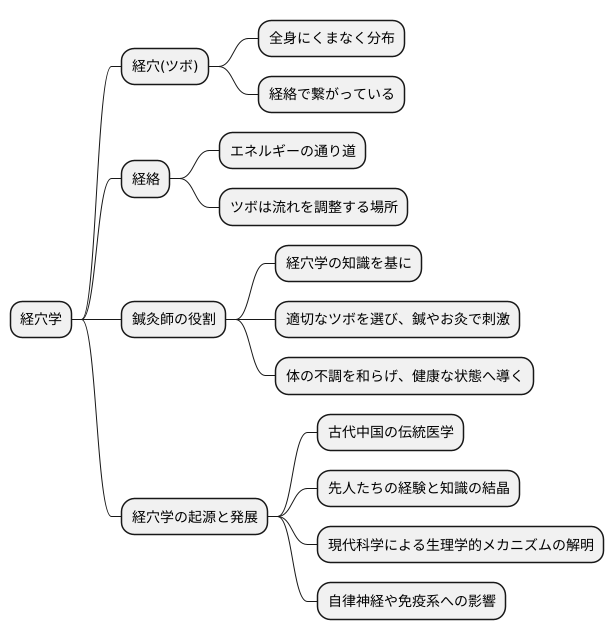 経穴学とは何か