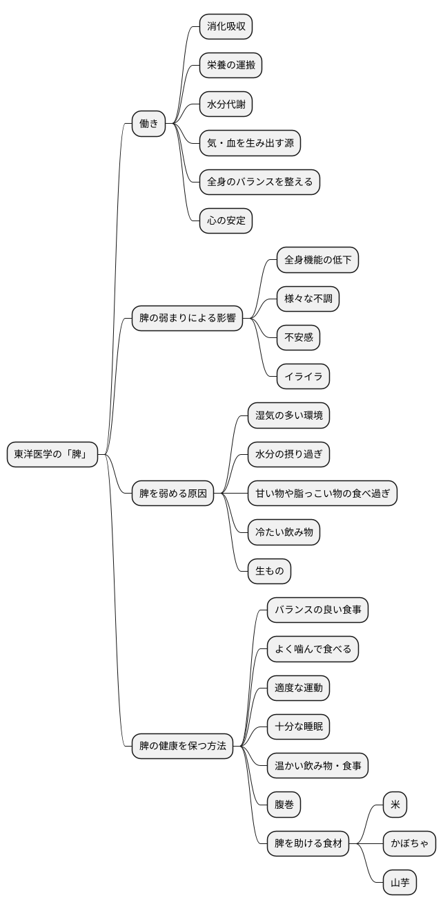 脾の働き