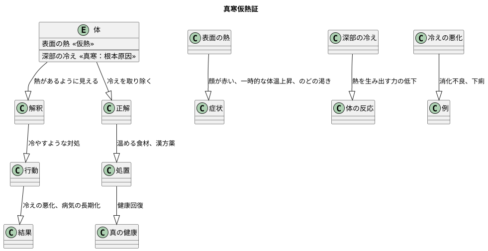 真寒仮熱証とは