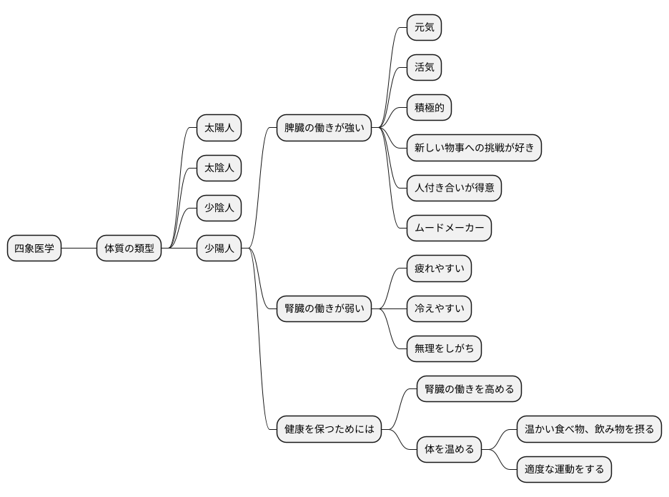 少陽人とは