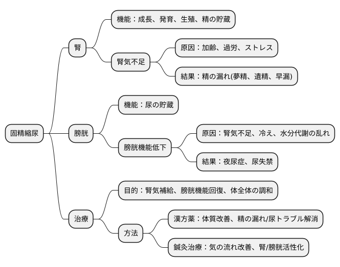 固精縮尿とは