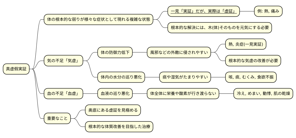 真虚假実証のメカニズム