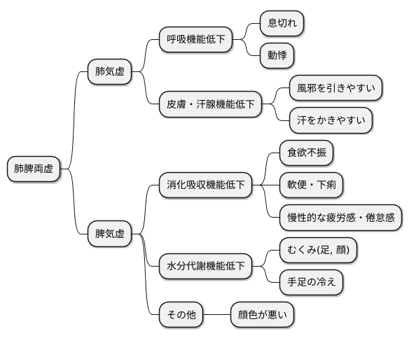 主な症状
