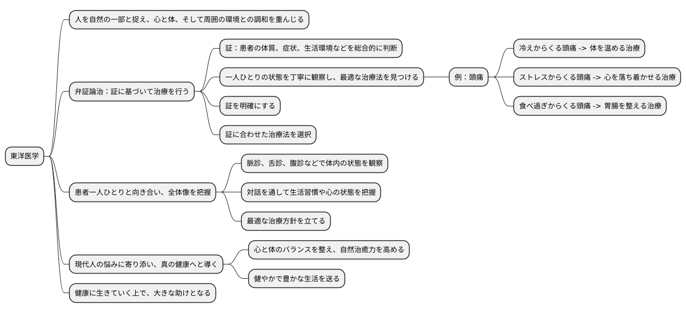 東洋医学の精華