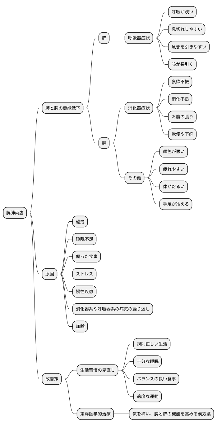 脾肺両虚とは