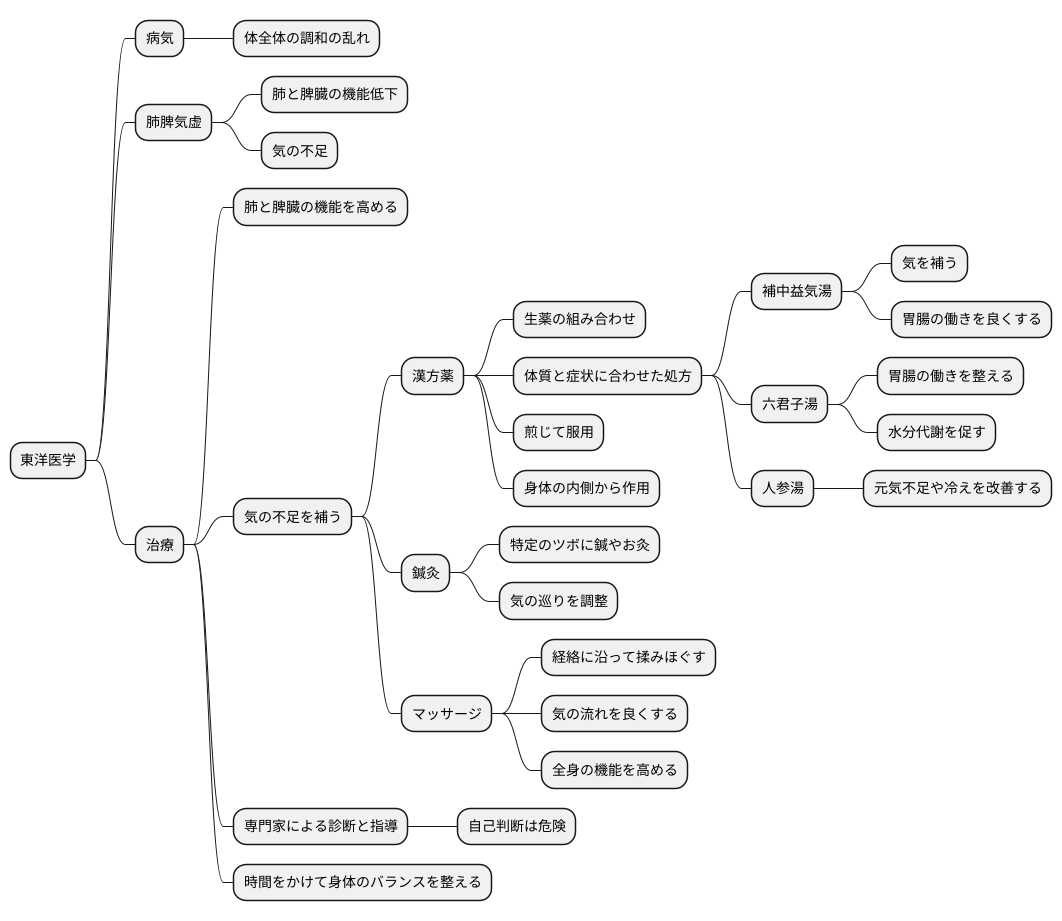 東洋医学的治療