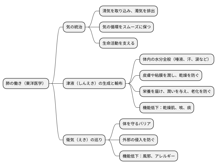 肺の働き