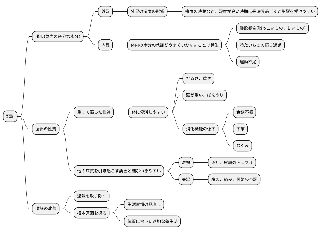 湿証ってどんなもの?