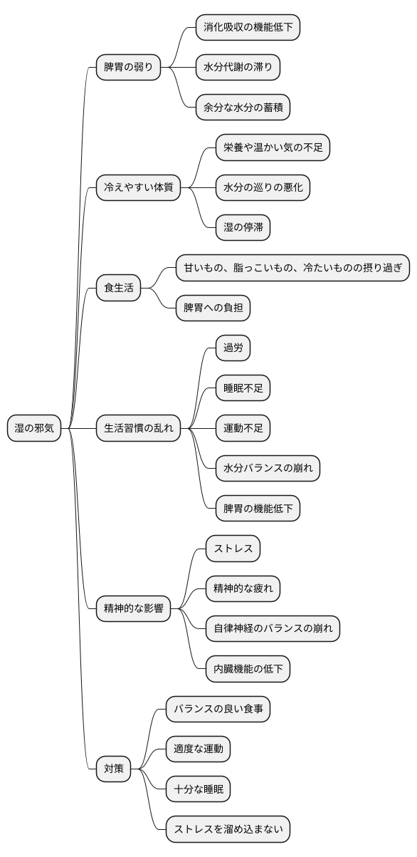 湿証になりやすい体質とは?
