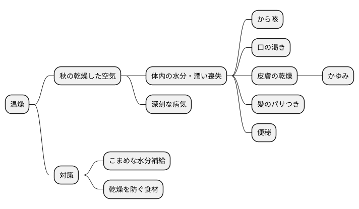 温燥とは何か