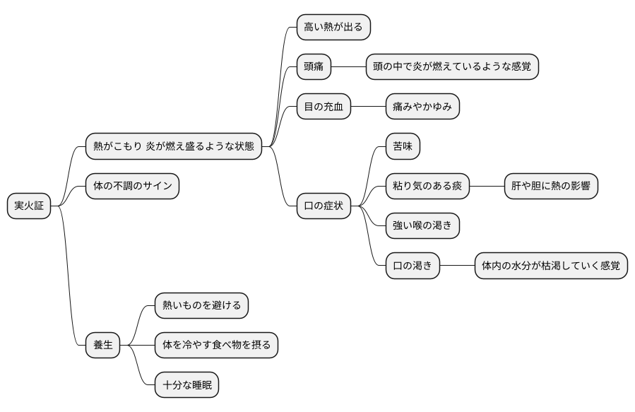 実火証の主な症状