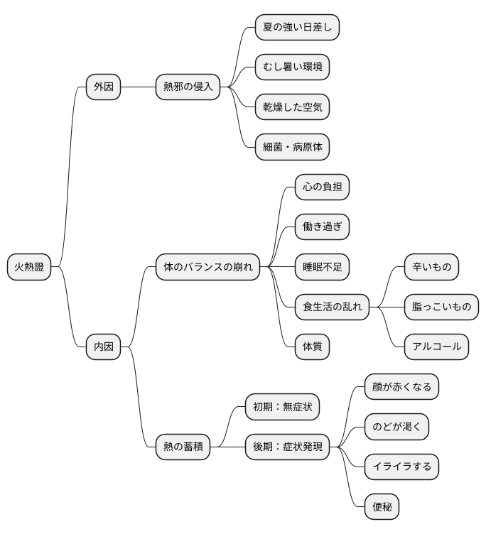 火熱證の原因