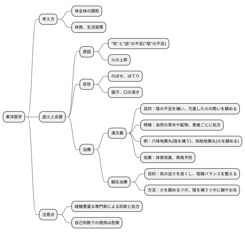 東洋医学的治療