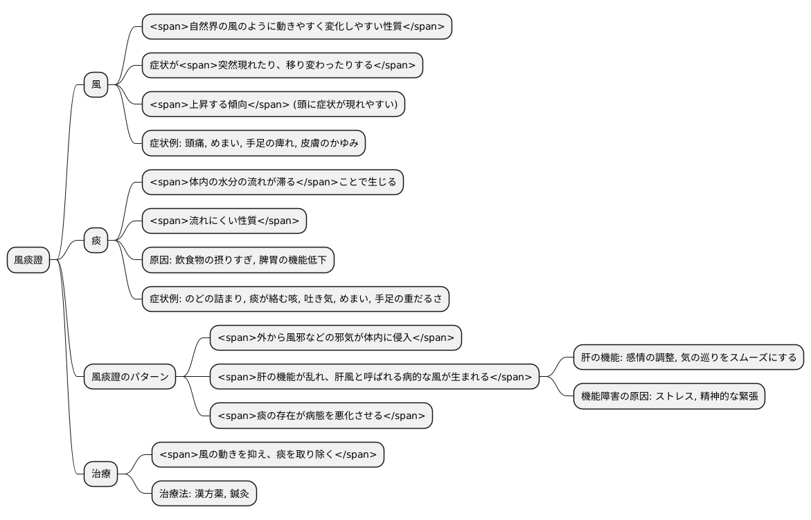 風痰證とは