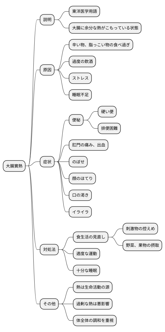 大腸實熱とは何か