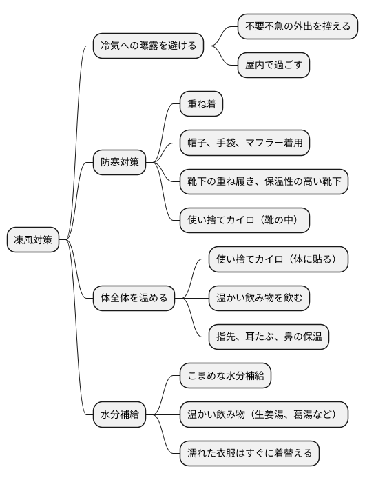 凍風の予防対策