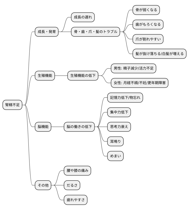 腎精不足の症状