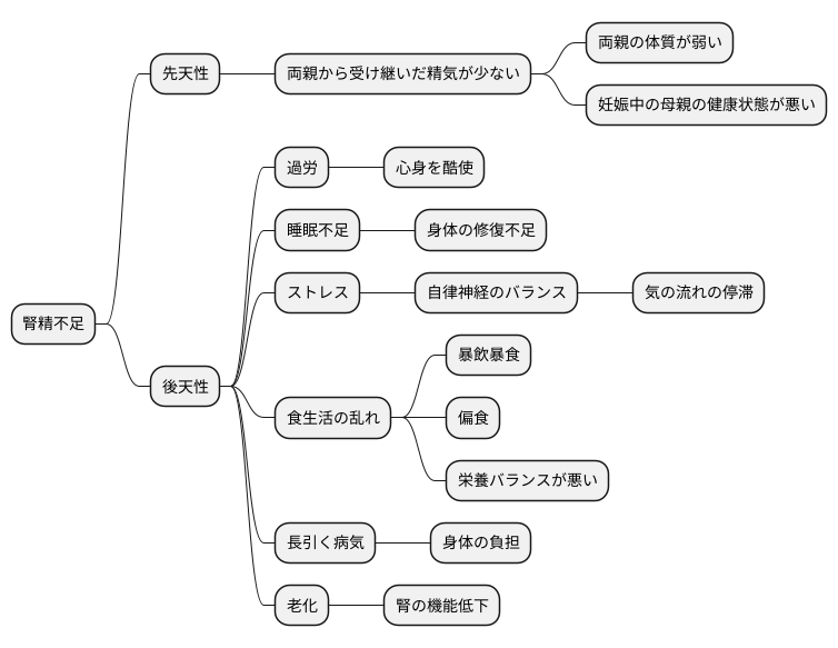 腎精不足の原因