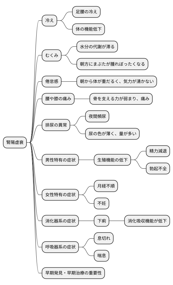 腎陽虚衰の症状