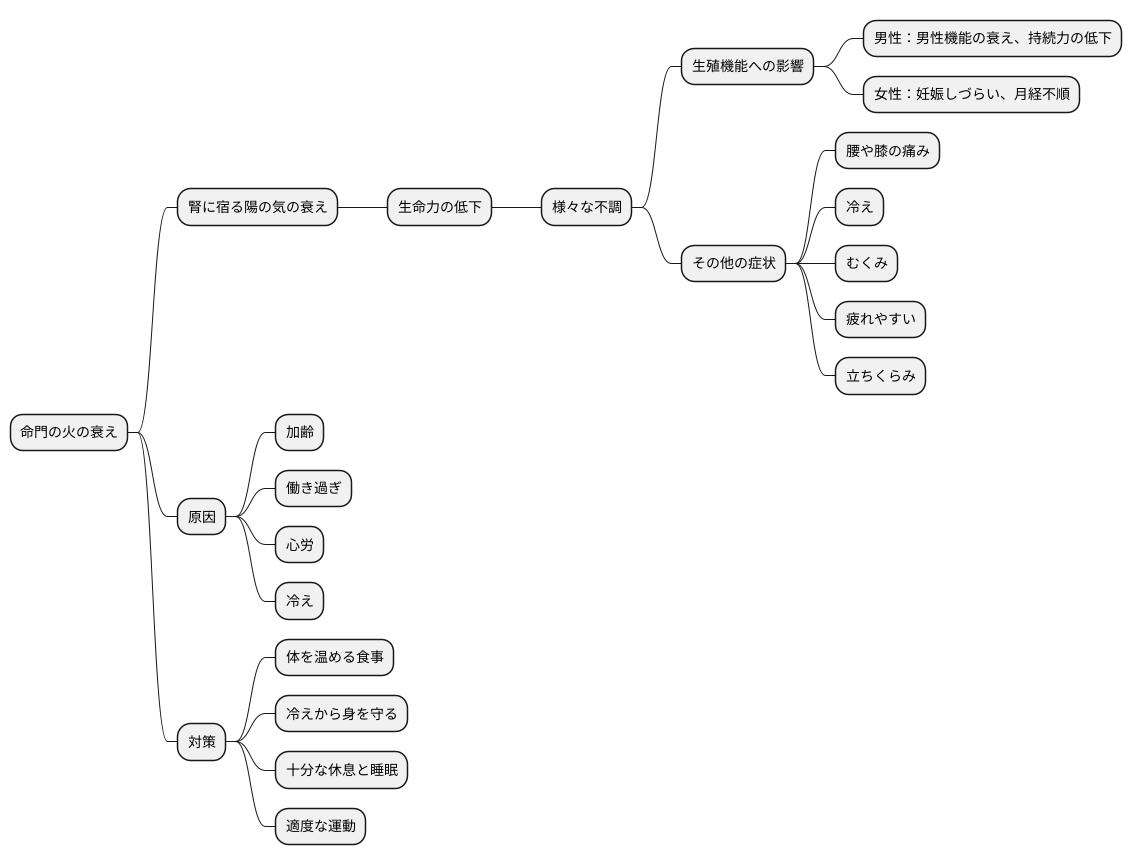命門火衰とは何か