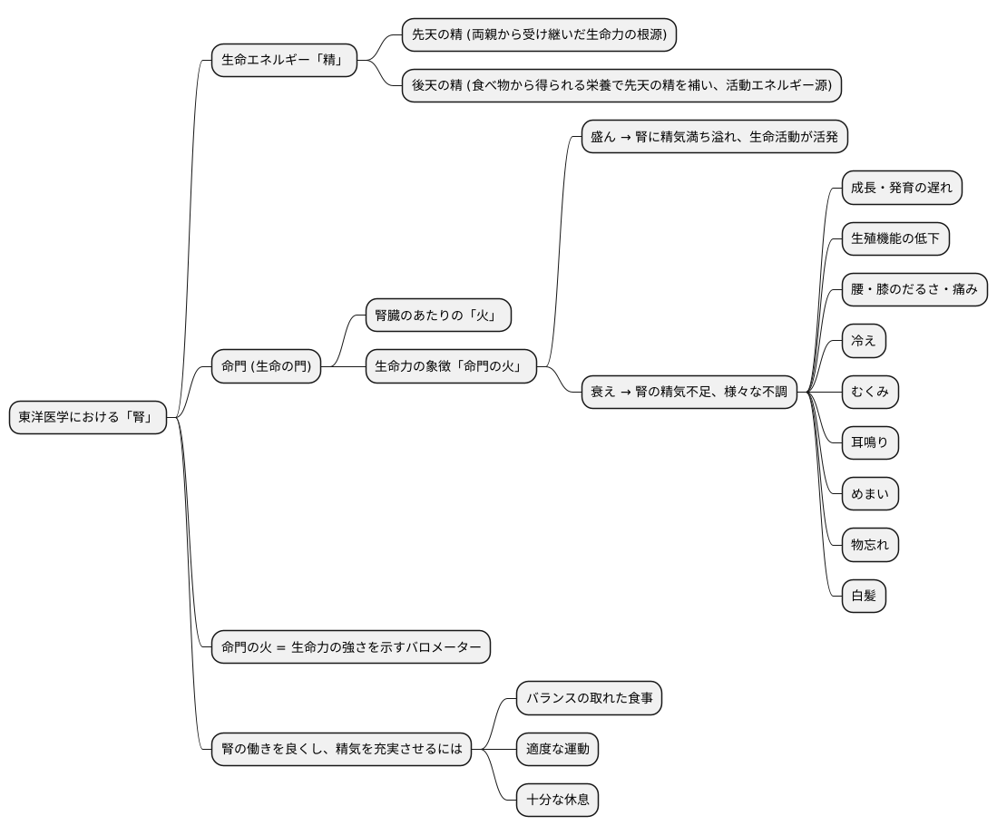 腎と命門の関係