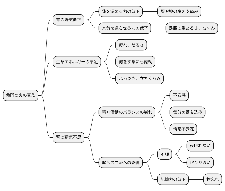 命門火衰の症状
