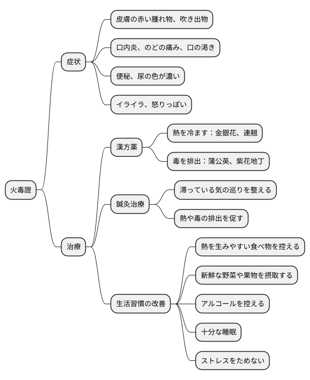 火毒證の治療
