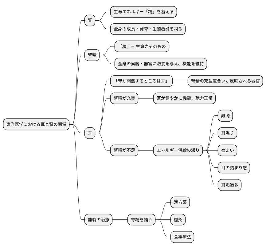 腎精と難聴の関係