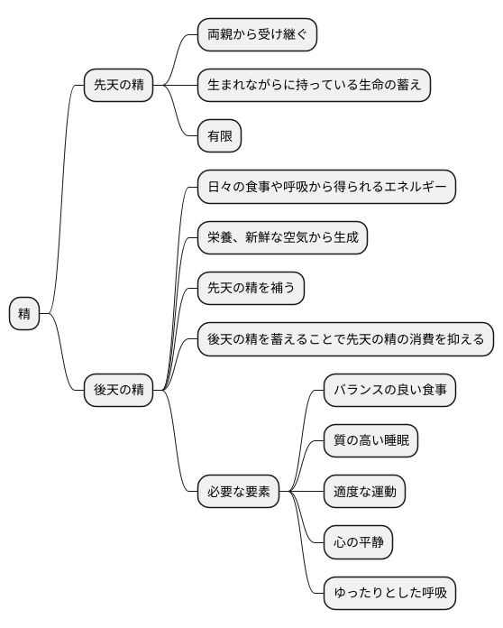精とは何か