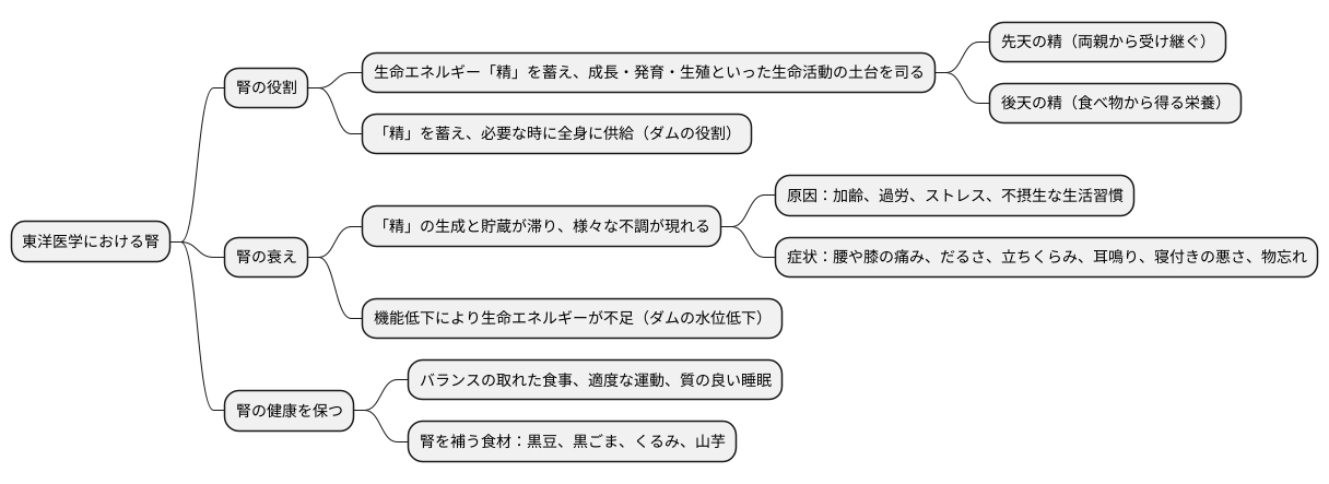 腎との関係