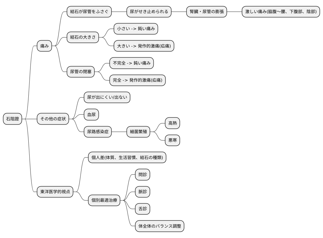 主な症状と特徴