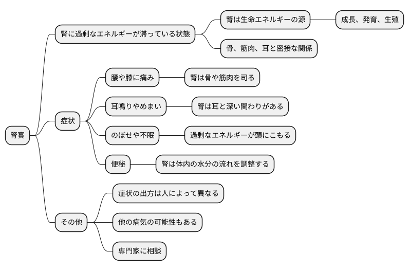 腎實の症状と原因