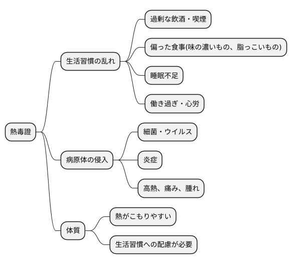 熱毒證の原因
