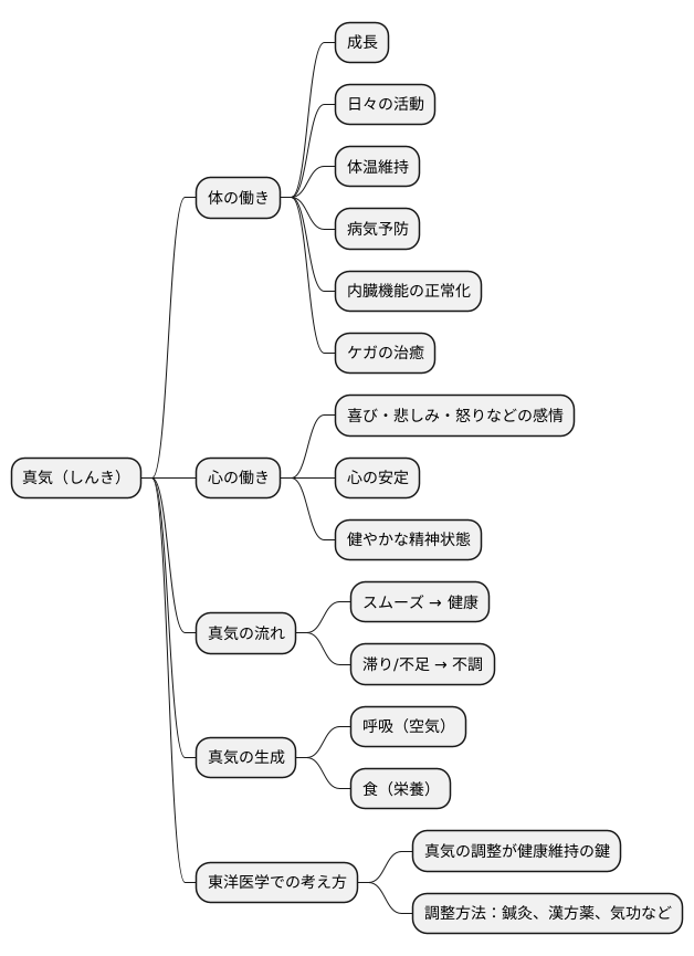 真気とは何か