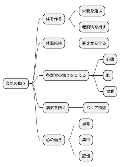 真気の働き