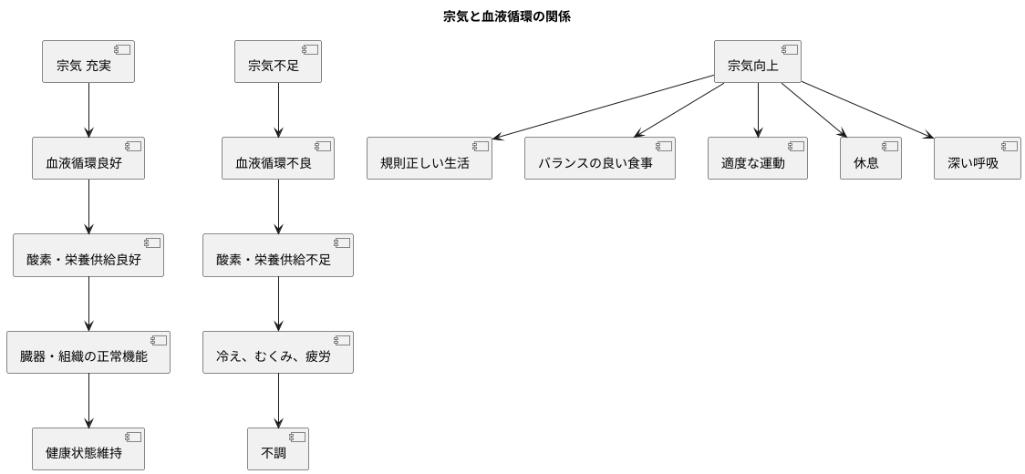 血流との関係