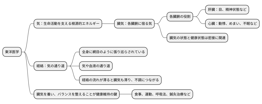 臓気とは