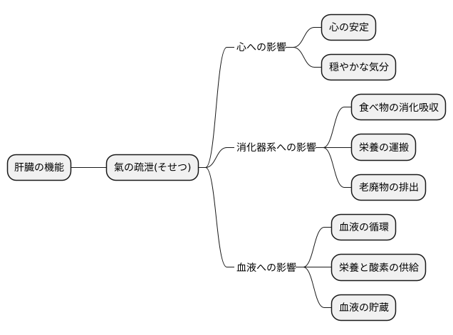 肝氣の働き