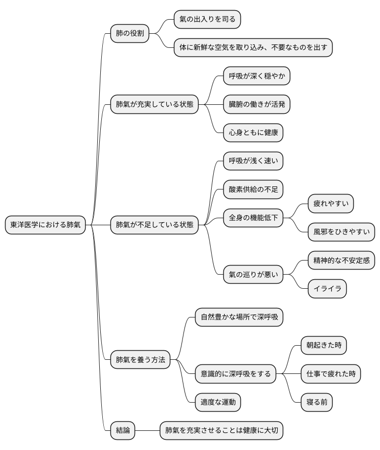 呼吸と肺氣の関係