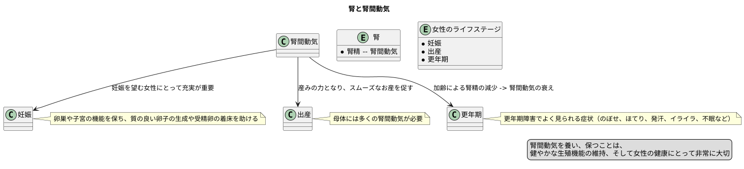 腎間動気と生殖機能