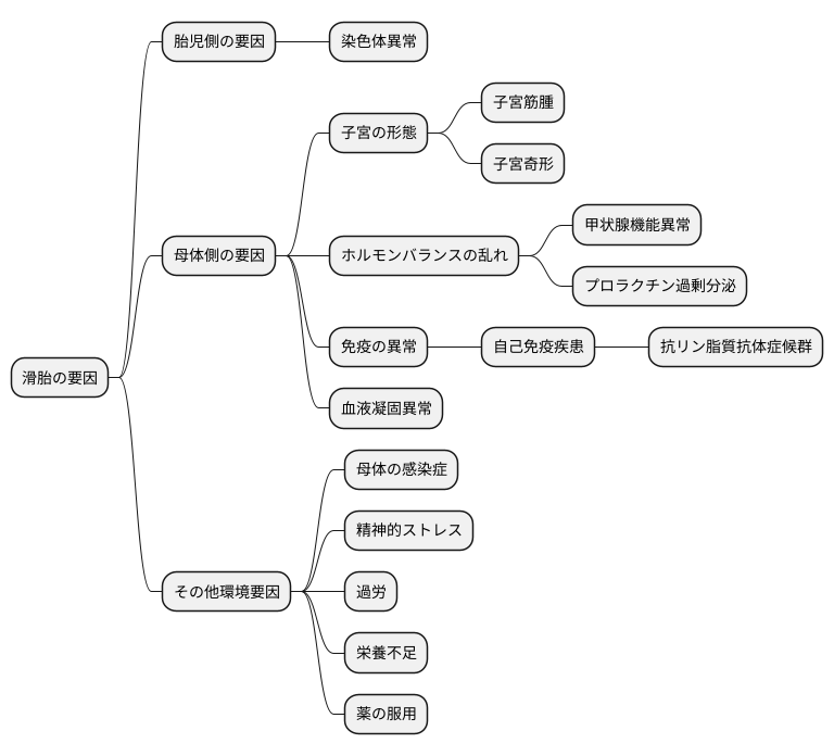 滑胎の原因を探る