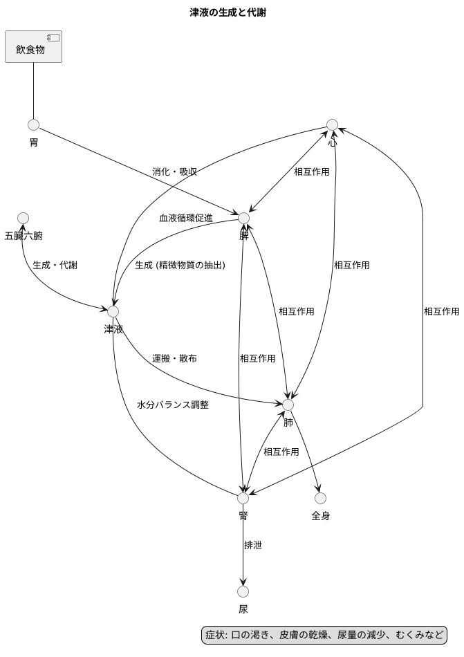 液の生成と代謝